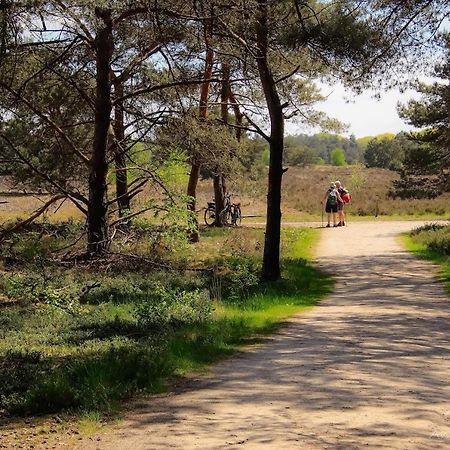 Vakantiehuis In Een Prachtige Bosrijke Omgeving In Twente! Bornerbroek Esterno foto