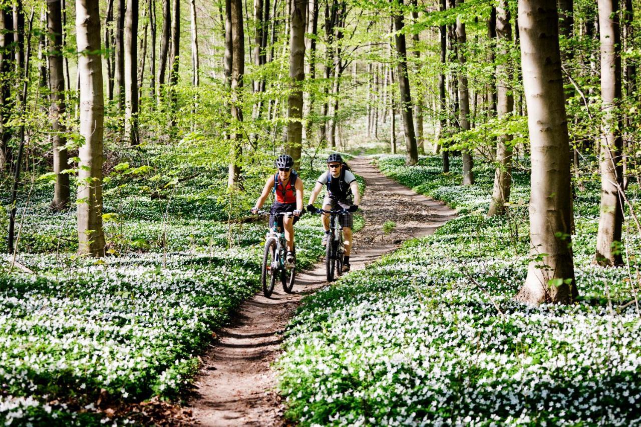 Vakantiehuis In Een Prachtige Bosrijke Omgeving In Twente! Bornerbroek Esterno foto